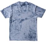 Meet Lion King, a Ocean Comfort Colors Colorblast Tee (back-view)