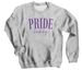 PRIDE Cheerleading Adult + Youth Sweatshirt, a Sport Grey Crewneck Sweatshirt