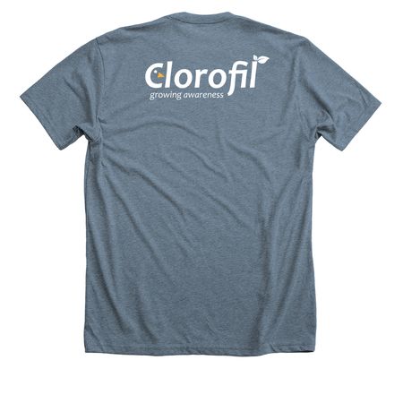 Fleur's t-shirt, a Heather Slate Premium Unisex Tee (back-view)
