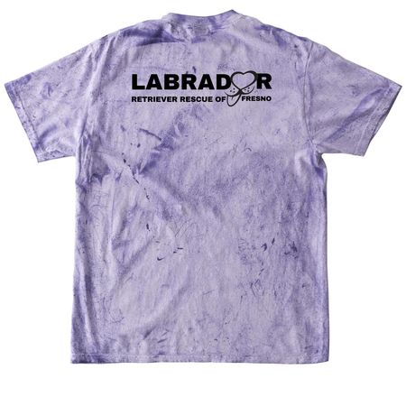 LRRF Tie-Dye, a Amethyst Comfort Colors Colorblast Tee (back-view)