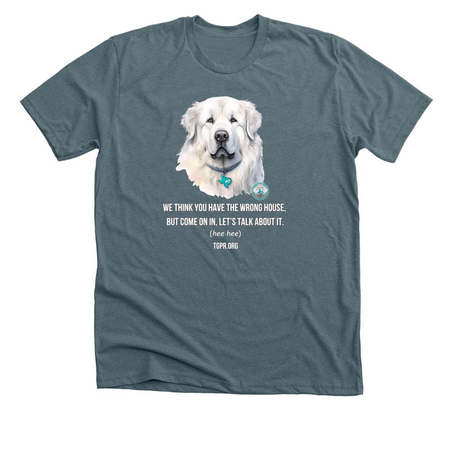 TGPR 25th Anniversary Ts #7 Come On In&nbsp;, a Heather Slate Premium Unisex Tee