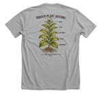 Tobacco Plant Anatomy Tee, a Athletic Heather Premium Unisex Tee (back-view)