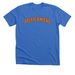Taylor Swift Stevie Knicks Shirt, a Heather True Royal Premium Unisex Tee