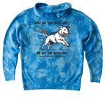 Against All Oddz Animal Alliance, a Aqua Blue Youth Tie Dye Pullover Hoodie (back-view)