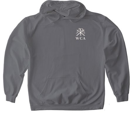 ONE mind ONE voice, a Charcoal Gildan Softstyle Pullover Hoodie