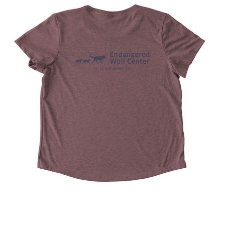 Daisy the Fennec Fox, a Vintage Rose Allmade Eco Triblend Women?s Scoop Neck Tee (back-view)