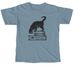 Curious Cat, a Ice Blue Comfort Colors Unisex Tee