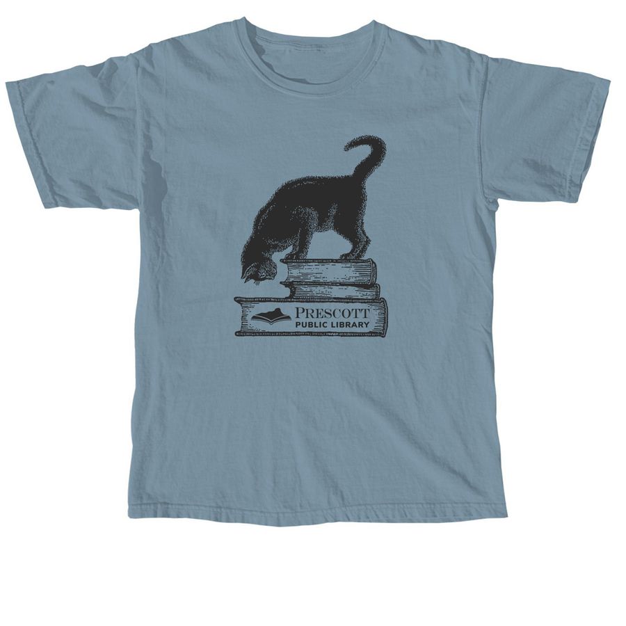 Curious Cat, a Ice Blue Comfort Colors Unisex Tee
