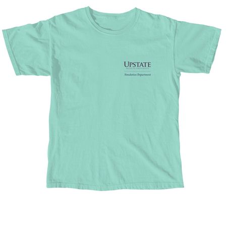 Simulation Department Fund, a Chalky Mint Comfort Colors Unisex Tee