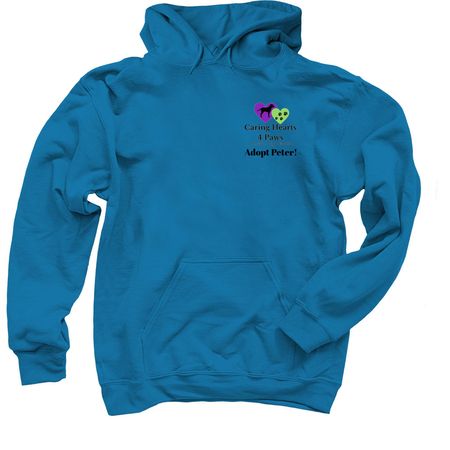 Peter, a Sapphire Pullover Hoodie (back-view)