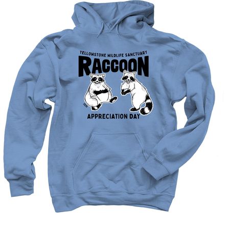 Raccoon Appreciation Day, a Carolina Blue Pullover Hoodie