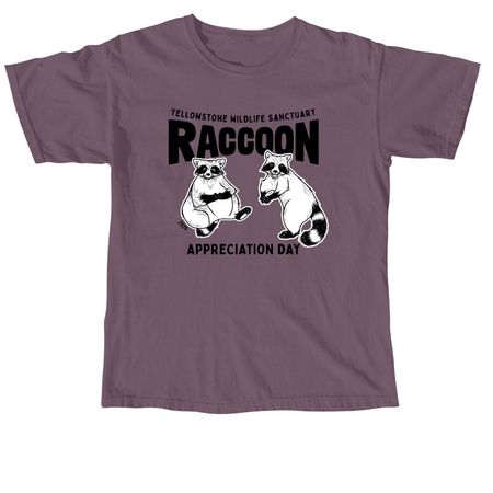 Raccoon Appreciation Day, a Dusk Comfort Colors Unisex Tee