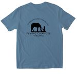 FCVA Merch!, a Indigo Blue Softstyle Cotton Tee (back-view)