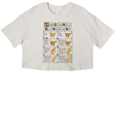 Medieval Cat Tutorial&nbsp;, a Vintage White Women?s Cropped Cotton Tee