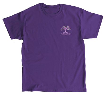 Temple Emanuel - PRIDE Shirt, a Purple Classic Unisex Tee