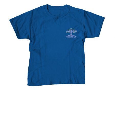 Temple Emanuel - PRIDE Shirt, a Royal Blue Youth Unisex Tee
