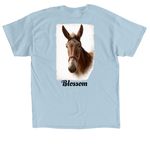 BBSER Summer, a Light Blue Classic Unisex Tee (back-view)