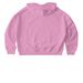 Damn Fine Tee., a Bubble Pink Stanley/Stella Women?s Stella Nora Pullover Hoodie (back-view)