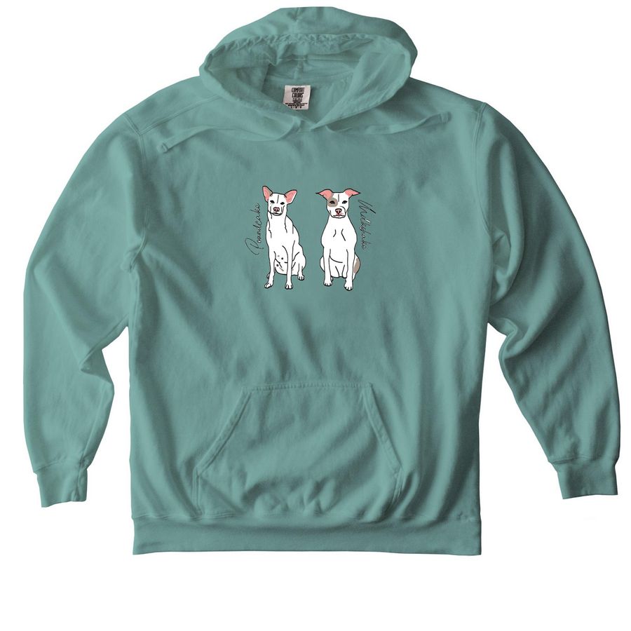 PM NEW Hoodies!??, a Seafoam Comfort Colors Pullover Hoodie