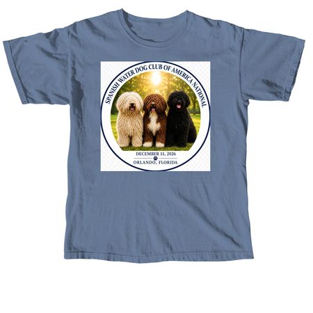 2026 T-shirts & Sweatshirts (design on front), a Blue Jean Comfort Colors Unisex Tee