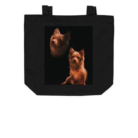 The HANDSOME Tote, a Black Organic Cotton Tote Bag