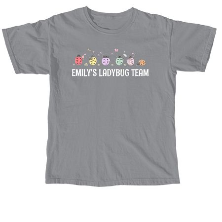 Emily's Ladybug Team, a Granite Comfort Colors Unisex Tee