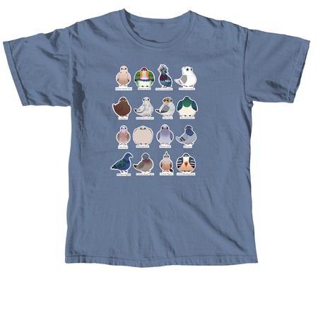 Pigeons and doves, a Blue Jean Comfort Colors Unisex Tee