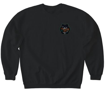 ARG-11i Shirt, a Black Softstyle Crewneck Sweatshirt