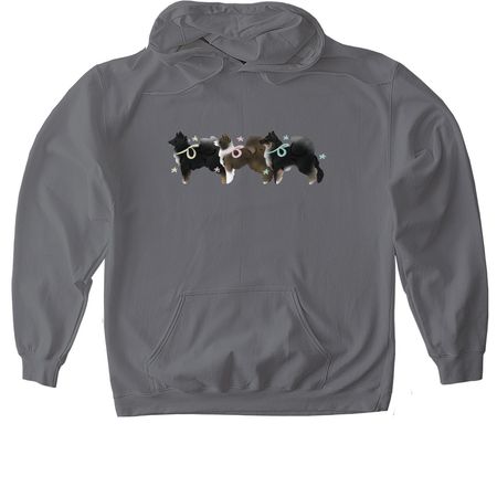 Icie Trio, a Charcoal Gildan Softstyle Pullover Hoodie