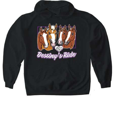 Destiny's Ride Therapeutic Program&nbsp;, a Black Gildan Softstyle Pullover Hoodie