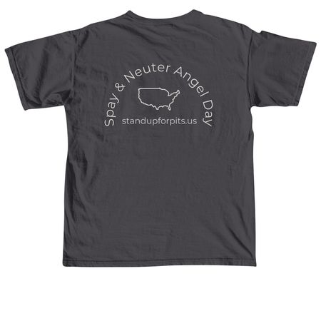 SPAY & NEUTER ANGEL DAY 2026, a Graphite Comfort Colors Unisex Tee (back-view)