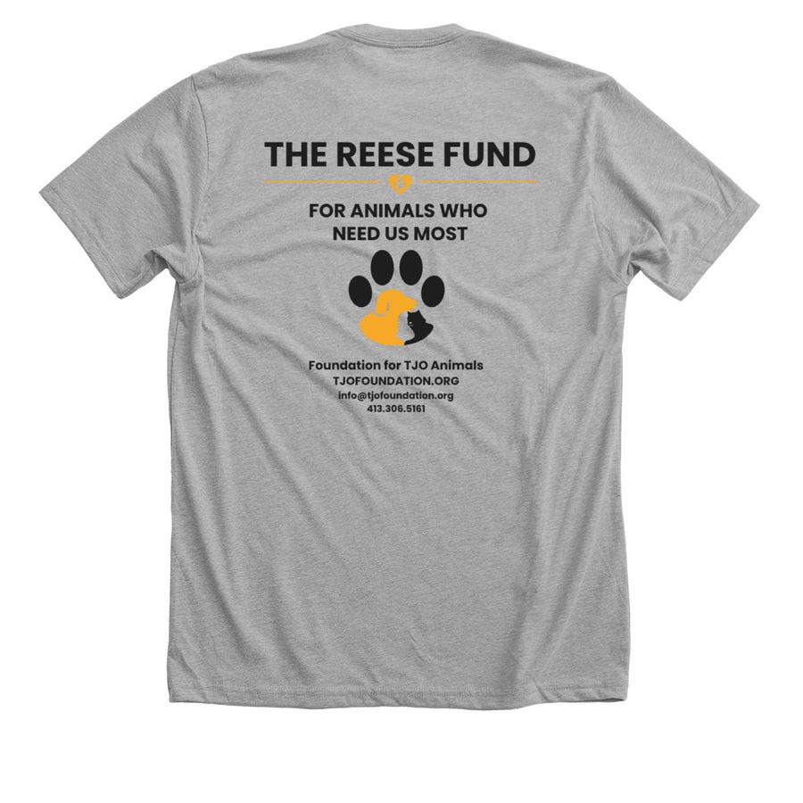 Reese Fund Day of Compassion LE Tee, a Athletic Heather Premium Unisex Tee (back-view)