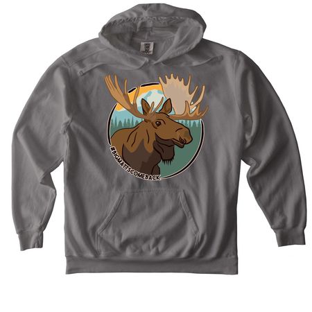 #BIGMATTSCOMEBACK, a Grey Comfort Colors Pullover Hoodie
