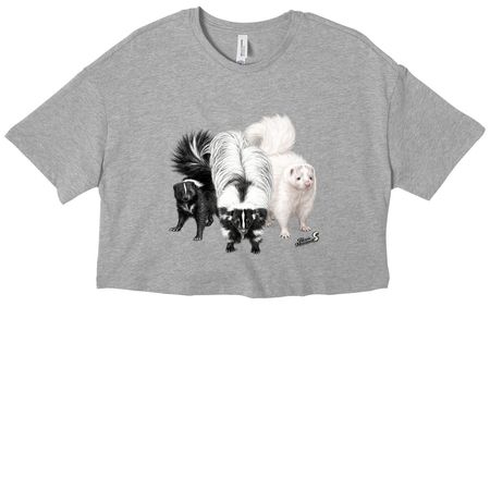 The Trio Collection, a Athletic Heather Women?s Cropped Cotton Tee