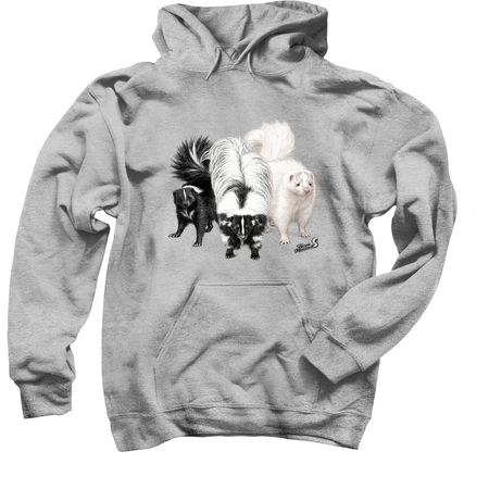 The Trio Collection, a Sport Grey Pullover Hoodie