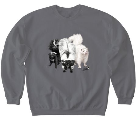The Trio Collection, a Charcoal Softstyle Crewneck Sweatshirt