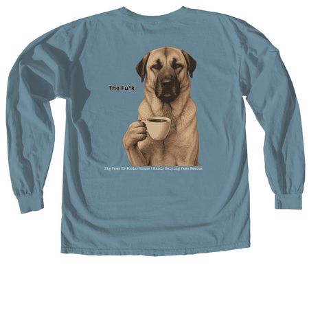 The Fu*k, a Ice Blue Comfort Colors Long Sleeve Tee