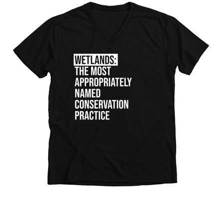 SWCS - Wetlands, a Solid Black Blend Premium V-Neck Tee