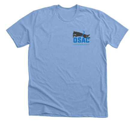 The Whale Cup, a Heather Carolina Blue Premium Unisex Tee