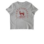 Sweetgrass Studio Merch, a Cool Heather Grey Stanley/Stella Women?s Stella Muser Tee (back-view)