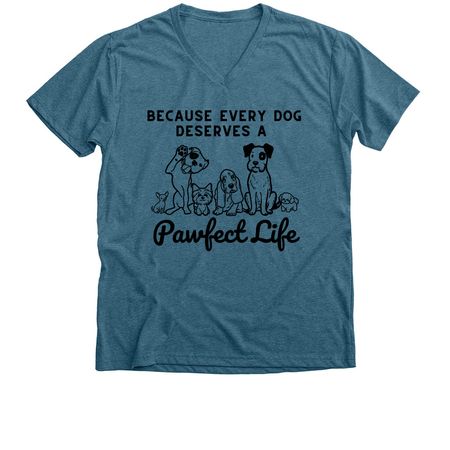 A Pawfect Life Starts with You, a Heather Deep Teal Premium V-Neck Tee