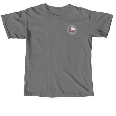 Space is your Friend, until it's not, a Grey Comfort Colors Unisex Tee