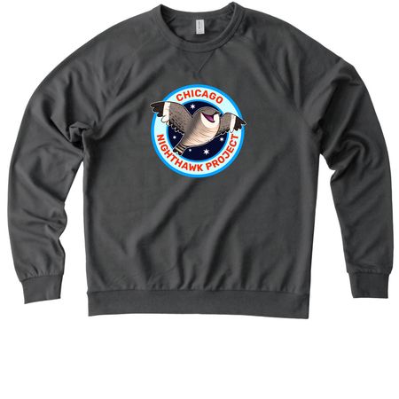 Chicago Nighthawk Project, a Terrain Grey Allmade Organic French Terry Crewneck Sweatshirt