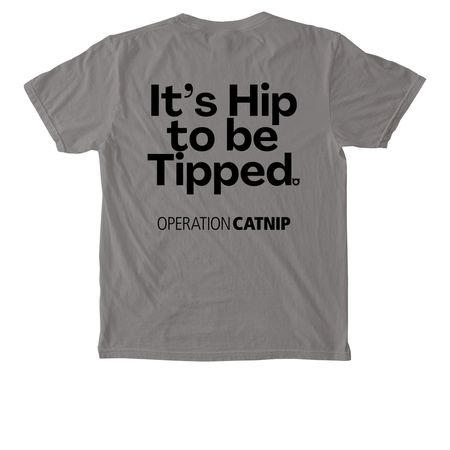 Hip & Tipped Pocket Tee, a Grey Comfort Colors Pocket Tee (back-view)