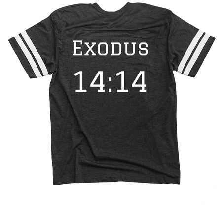 ISRAEL&nbsp;, a Vintage Smoke / White Football Jersey Tee (back-view)