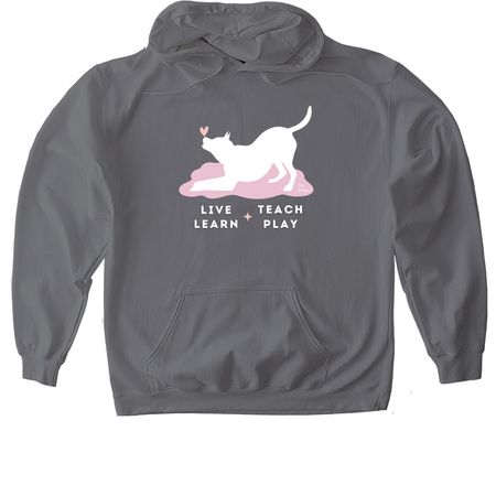 Live Learn Teach Play, a Charcoal Gildan Softstyle Pullover Hoodie