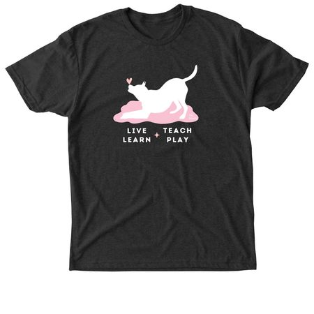 Live Learn Teach Play, a Vintage Black Triblend Unisex Tee