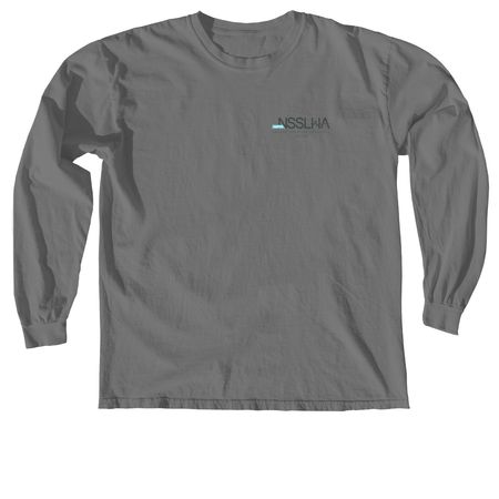 2026 Chapter Shirt, a Grey Comfort Colors Long Sleeve Tee