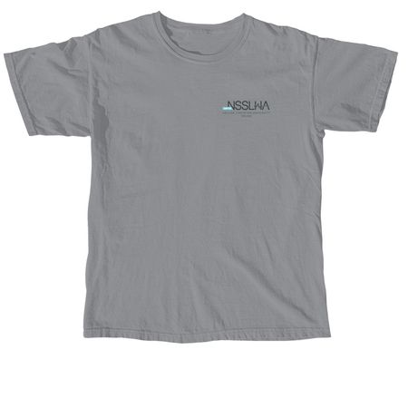 2026 Chapter Shirt, a Granite Comfort Colors Unisex Tee