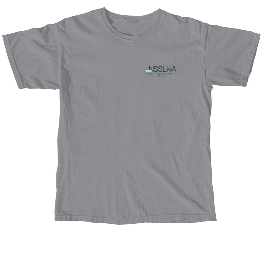 2026 Chapter Shirt, a Granite Comfort Colors Unisex Tee